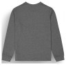 Picture Organic реглан Sican LS dark grey melange L Фото - 4