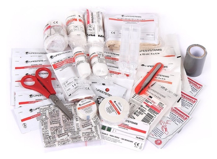 Lifesystems аптечка Camping First Aid Kit
