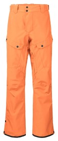 Брюки Picture Organic Plan 2023 orange