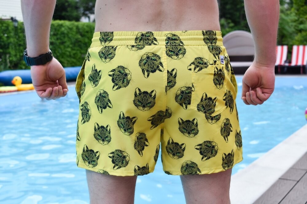 Плавальні шорти чоловічі Pobedov Pool day Kotiki