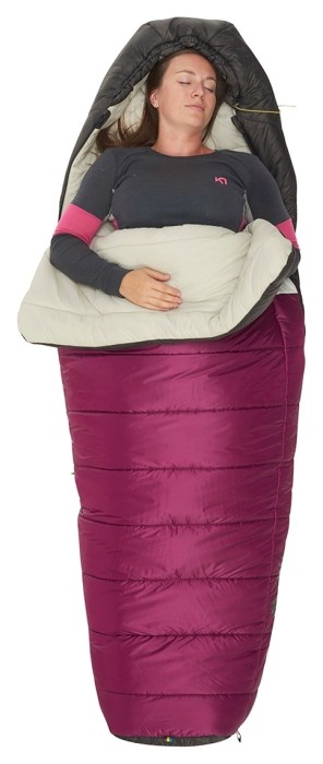 Спальник Sierra Designs Synthesis 20 Regular W