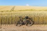 Велосипед 29" Pride ROCX DIRT Tour рама - XL зелений 2022 Фото - 1