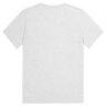 Футболка Picture Organic  Jecko grey melange Фото - 1
