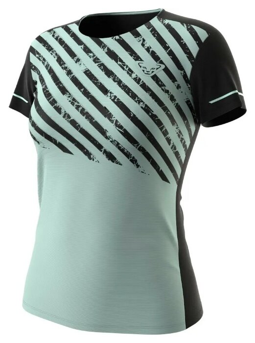 Футболка Dynafit Alpine 2 S/S Tee Wmn