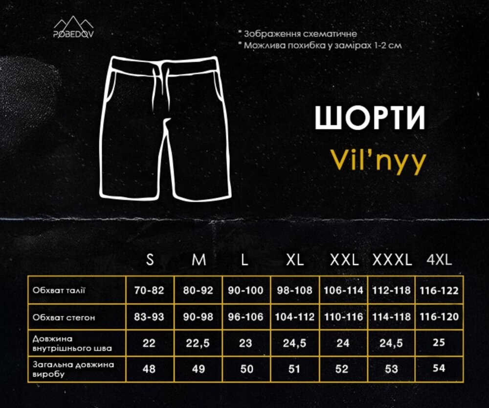 Чоловічі шорти прямого крою сірі Pobedov Vil'nyy