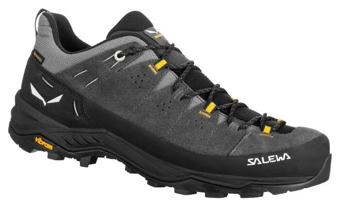 Кросівки Salewa Alp Trainer 2 GTX Mns