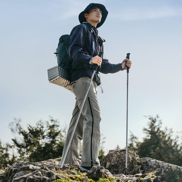 Трекінгова палиця Naturehike CNK2450DS016, 120 см, фіолетова