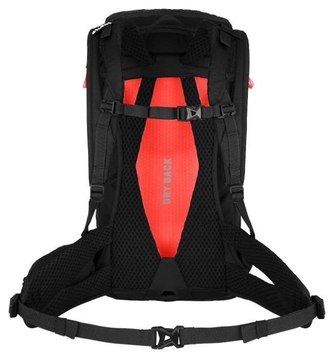 Рюкзак Salewa Alp Trainer 20 Wmn