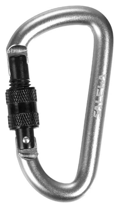 Брелок Salewa D-Shape Carbiner with screw