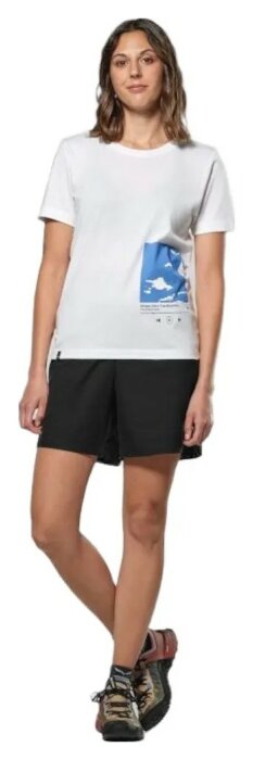 Футболка Salewa Eagle Cover T-Shirt Wmn