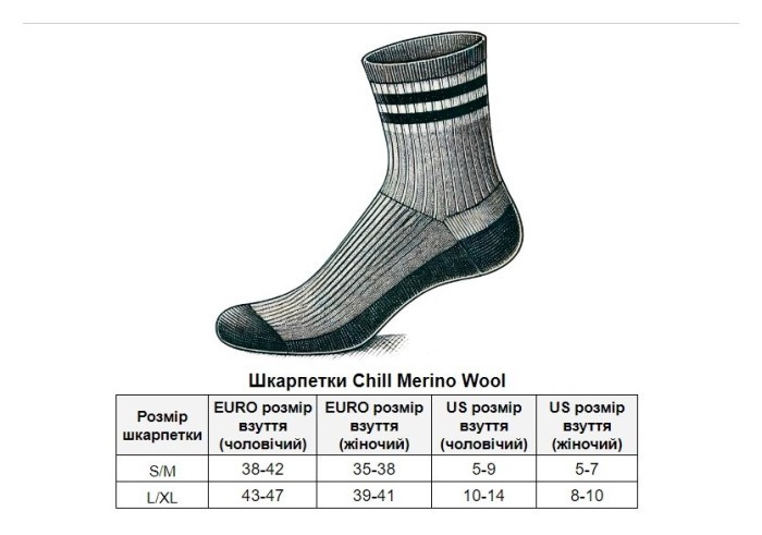 Шкарпетки TLD CHILL MERINO WOOL SOCKS; MONO [BLACK] S/M