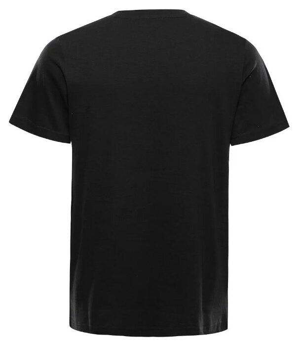 Футболка Alpine Pro Grem 2 Mns