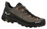Кросівки Salewa Alp Trainer 2 GTX Mns Фото - 1