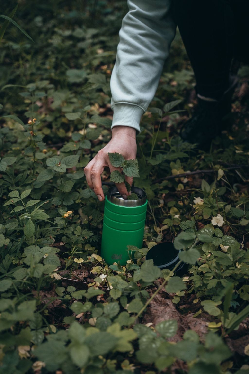 Термос для їжі Esbit FJS550TL-AG