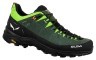Кросівки Salewa ALP Trainer 2 Mns
