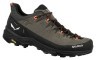 Кросівки Salewa ALP Trainer 2 Mns Фото - 1
