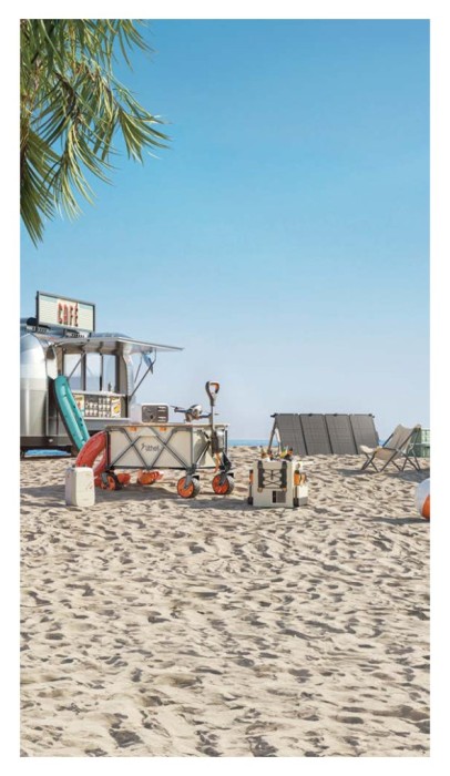 Акумуляторний візок з двигуном від павербанку Litheli (2шт УМБ Litheli Power Bank 20000 mAh, 45 W в комплекті)