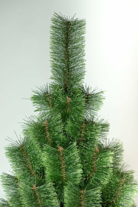 Сосна штучна "Розпушена"