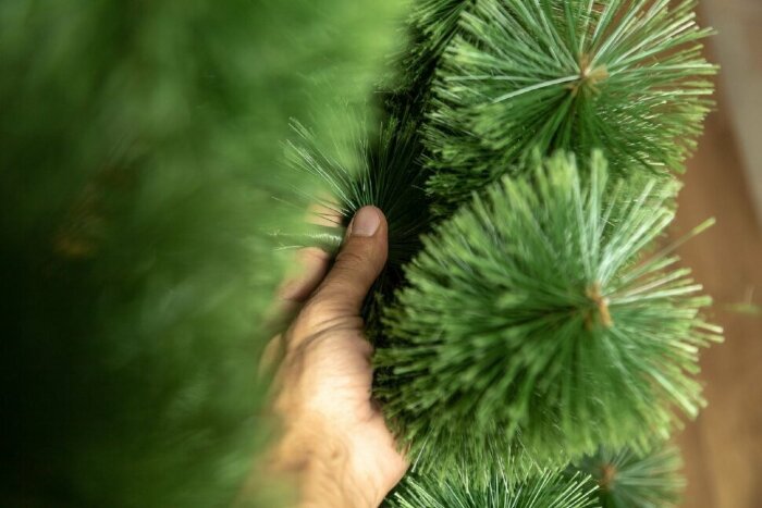 Сосна штучна "Розпушена"