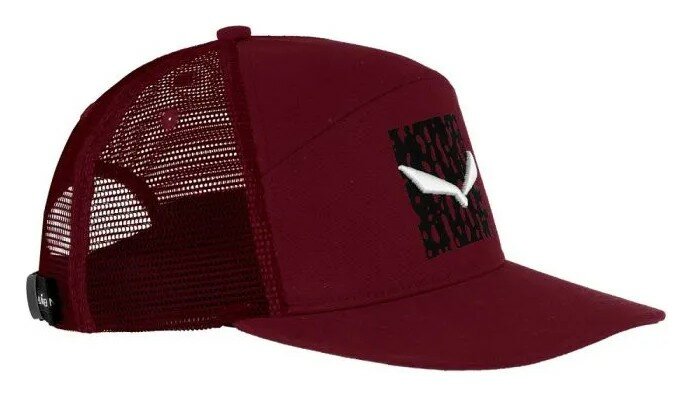 Кепка Salewa Pure Salamander Logo Wms