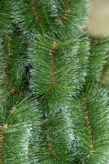 Сосна штучна "Мікс засніжена"