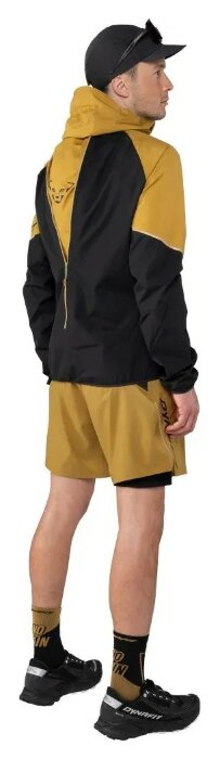 Шорти Dynafit Alpine Pro 2/1 Mns