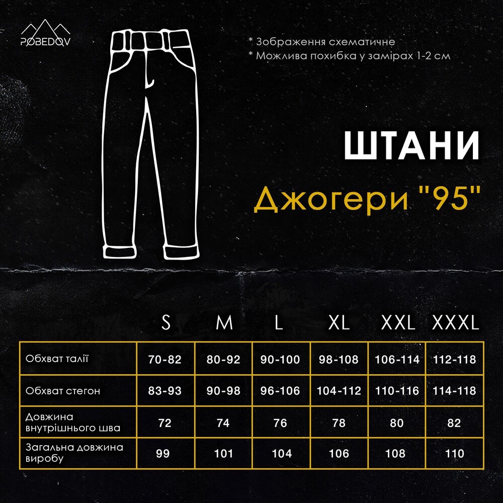 Чоловічі штани джогери з кишенями сірі Pobedov 95