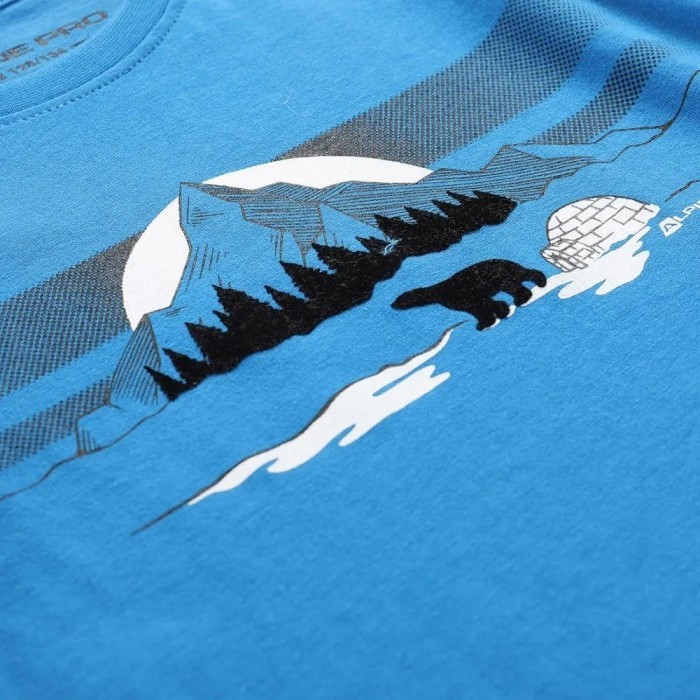 Футболка Alpine Pro Dallo 3