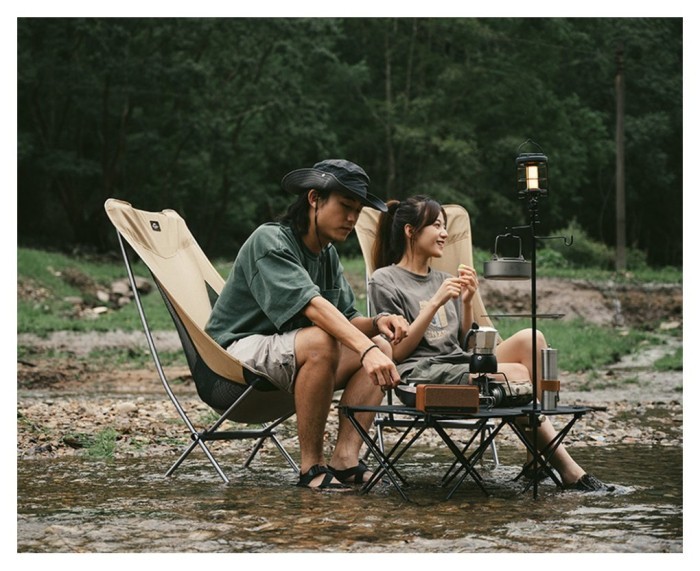 Крісло складане Naturehike Stellaluna L04 CNK2450JJ015, розмір L, алюміній, чорне