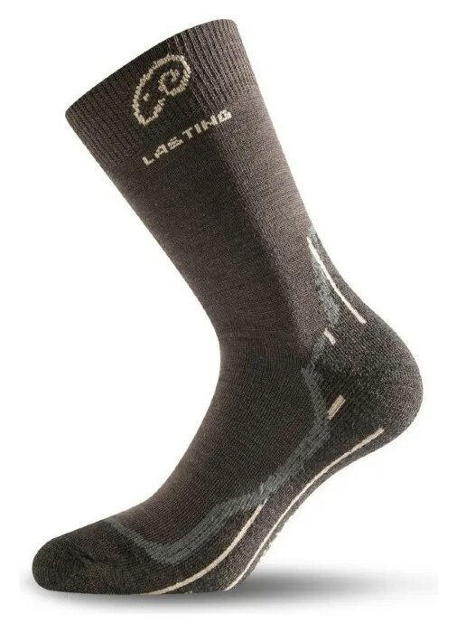 Шкарпетки Lasting WHI