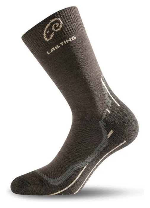 Шкарпетки Lasting WHI