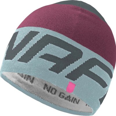 Шапка Dynafit Radical Beanie