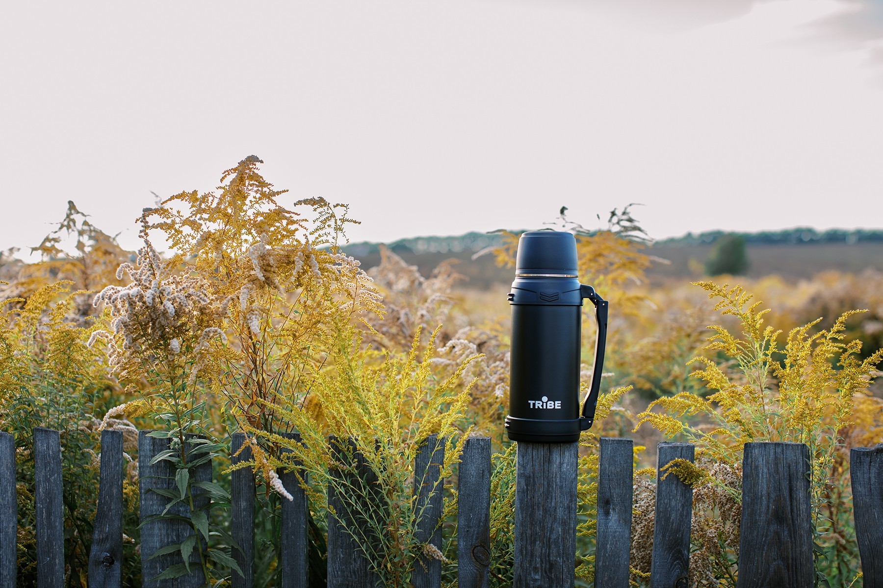 Термос Tribe Family line 2.5 л T-DG-0002