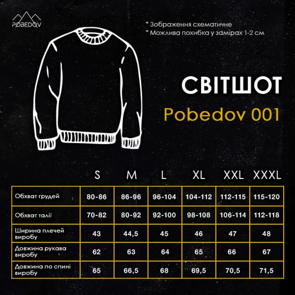 Світшот чоловічий однотонний ментоловий Pobedov 001
