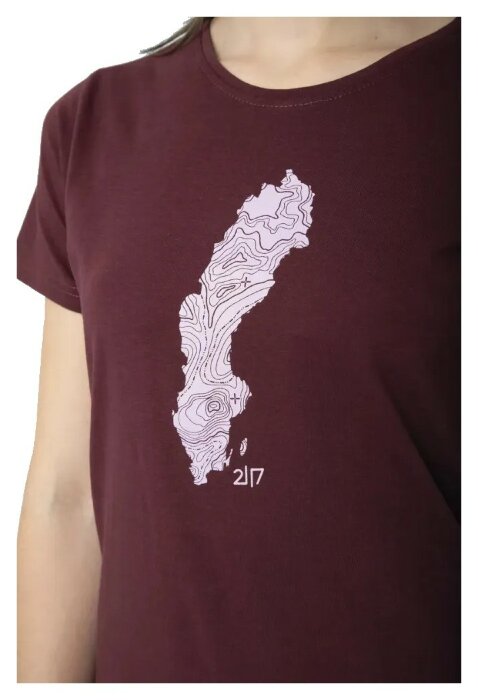 Футболка 2117 of Sweden Apelviken T-Shirt Wmn