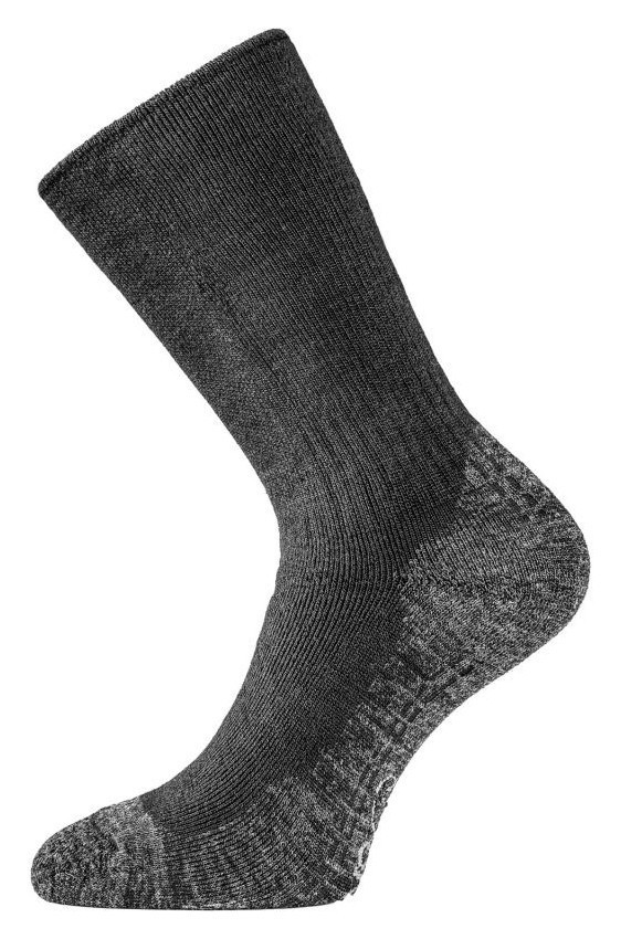 Шкарпетки Lasting WSM