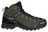 Черевики Salewa MS Alp Mate Mid WP Фото - 4