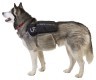 Рюкзак Ultimate Direction для собак Dog Vest black Фото - 2