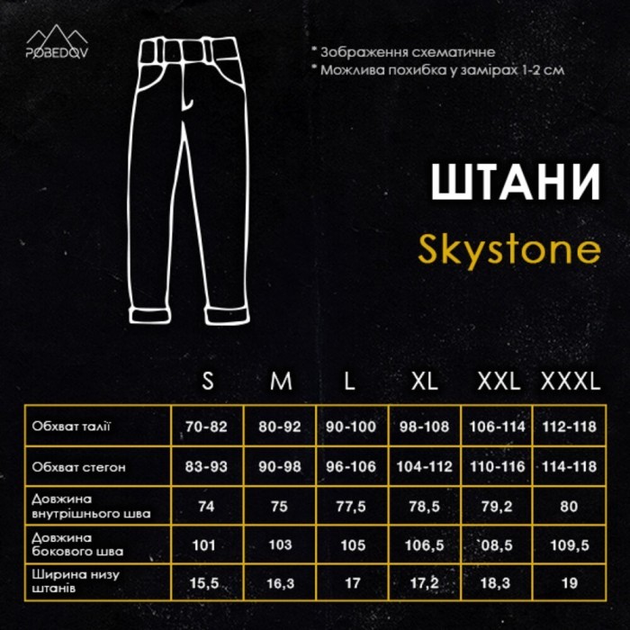 Штани карго чоловічі чорні базові котонові Pobedov Skystone