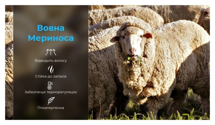 Шкарпетки водонепроникні Dexshell Hytherm Pro Socks, розмір XL (47-49), чорні з коричневою смугою