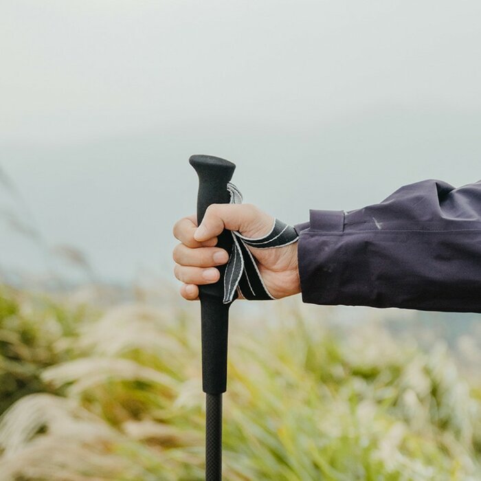 Трекінгова палиця Naturehike CNK2450DS017, 35-110 см, чорна