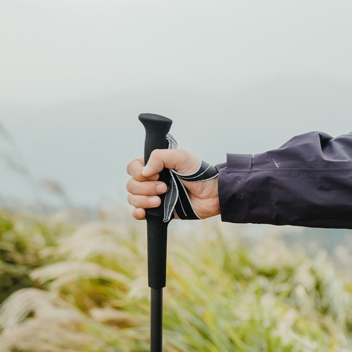 Трекінгова палиця Naturehike CNK2450DS017, 110 см, сіра