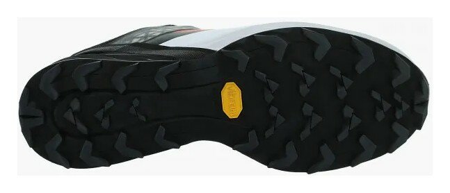 Кросівки Dynafit Alpine DNA