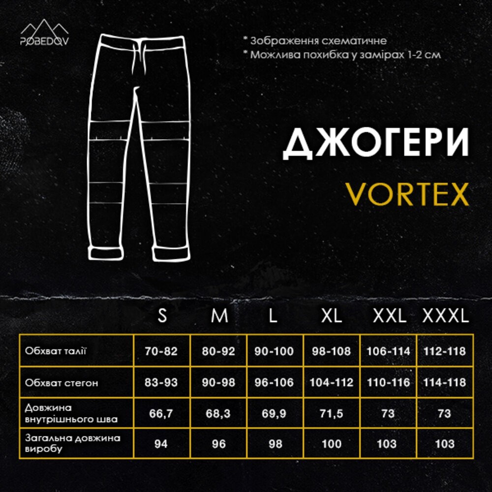 Джогери для чоловіків весняні Pobedov Vortex антрацит