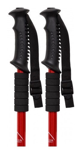 Палиця для скандинавської ходьби EasyFit Energia червона