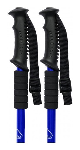 Палиця для скандинавської ходьби EasyFit Energia синя