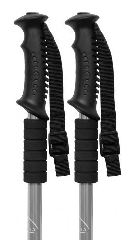 Палиця для скандинавської ходьби EasyFit Energia сіра