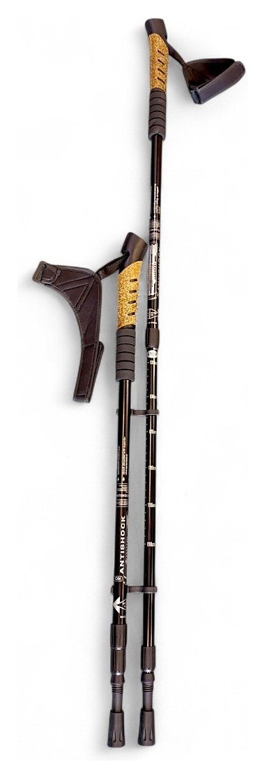 Палиці для скандинавської ходьби 553 Bavar Sport (чорний)