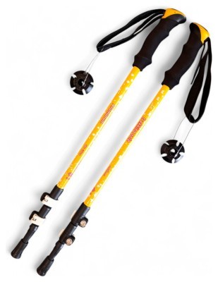 Палиці для скандинавської ходьби 554 Bavar Sport