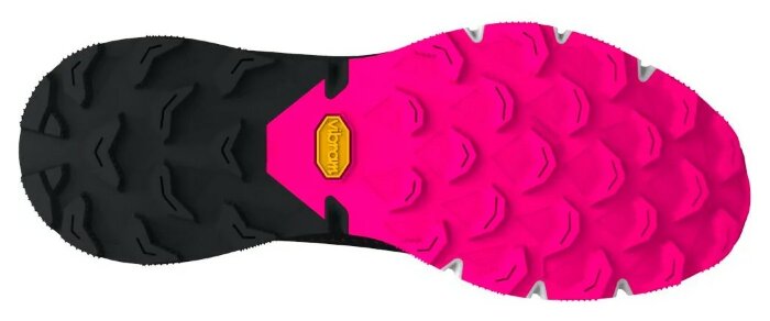 Кросівки Dynafit Ultra 100 Wms